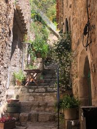 050 Saint-Guilhem-le-Désert⁩