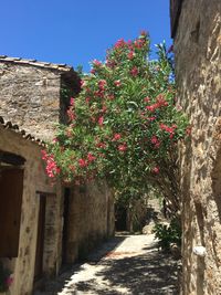 057 Saint-Guilhem-le-Désert⁩